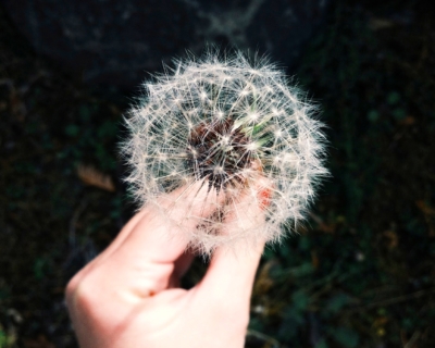 coley-christine-240-unsplash