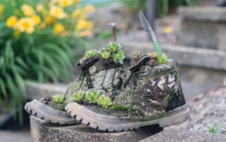 plants growing from boots
