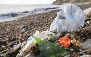 ocean pollution on the beach