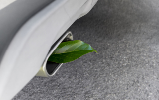 a leaf in a car exhaust