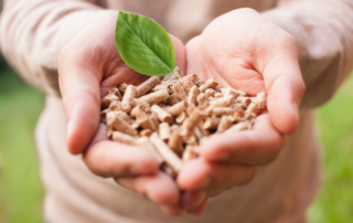 Man holding wooden bio fuel pellets