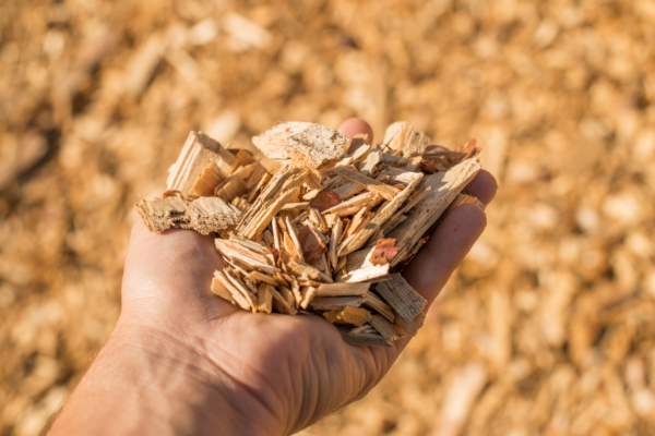 A handful of dry technological wood chips. Selective focus.