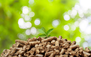 Wood pellets on a green background. Biofuels.