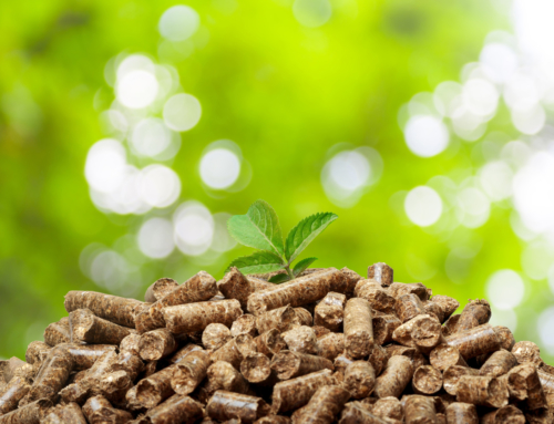 What Is Biomass Energy & How Do You Use It?