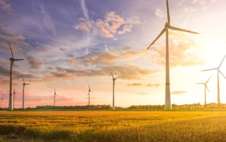 wind turbine field