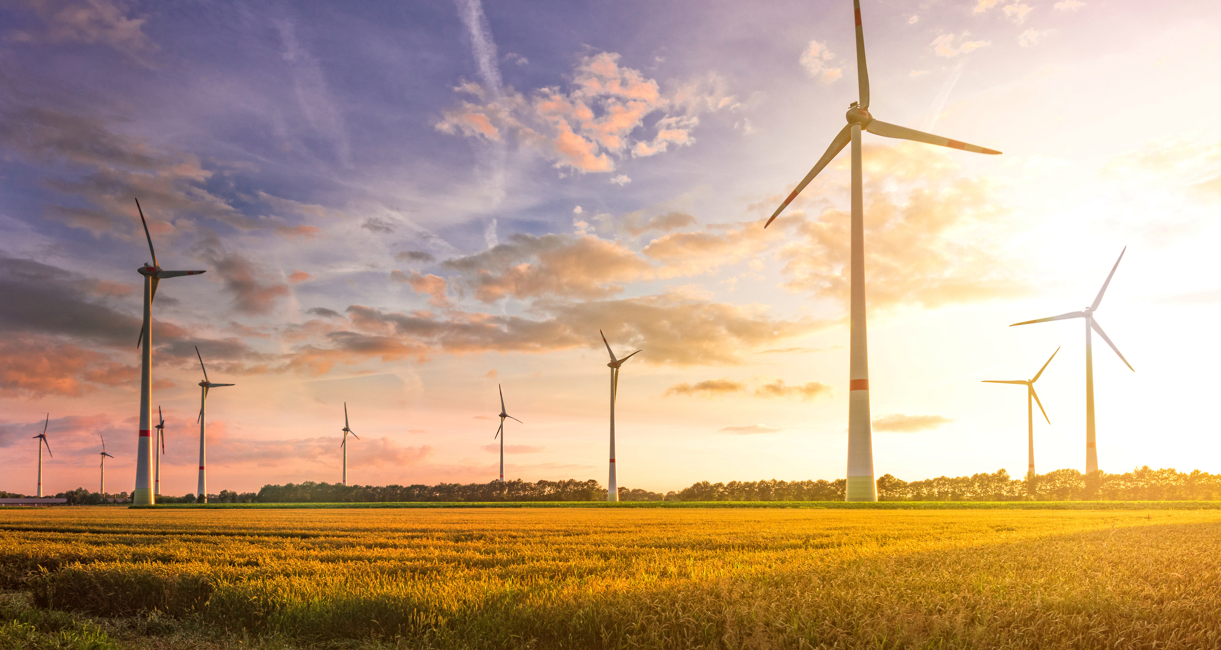 All You Need to Know about Wind Energy | Spring Power & Gas