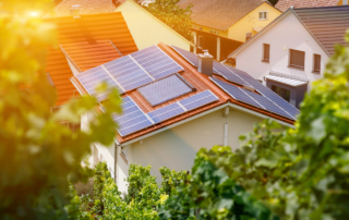 Solar panels on the tiled roof of the building in the sun. Top view through grape leaves. Selective focus.