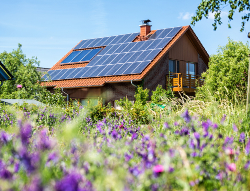 Top 11 Sustainable Building Practices for Eco-Homes [Plus 5 Sustainable Materials]