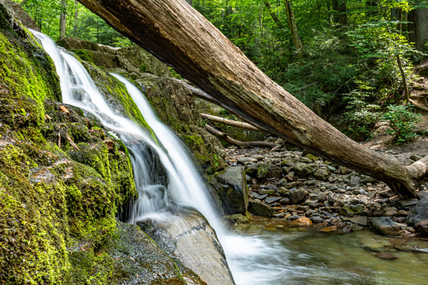 waterfall in the dunnfield creek-natural area in new jersey