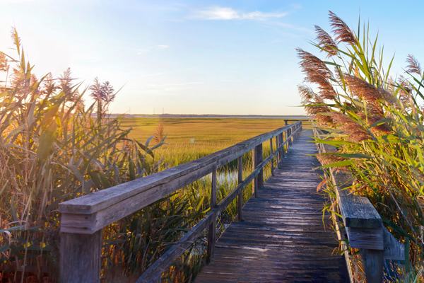 wooden bridge pathway at sunset new jersey