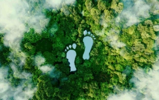 A depiction of our eco footprint