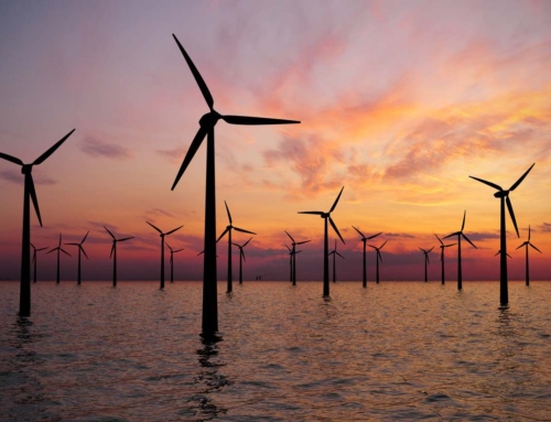 Offshore Wind: The Future of Sustainable Energy